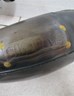 Exhaust Pipe KTM 125 EXC Six Days